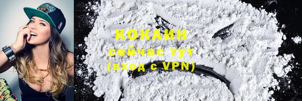 соль ск Алзамай
