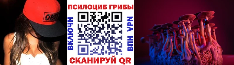 omg Карачев Галлюциногенные грибы GOLDEN TEACHER
